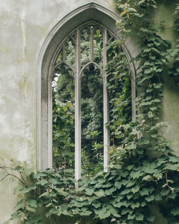 Ivy on the walls and ravens wheeling round above me... lyrics by Chris de Burgh, photograph courtesy of @marco_mansi_