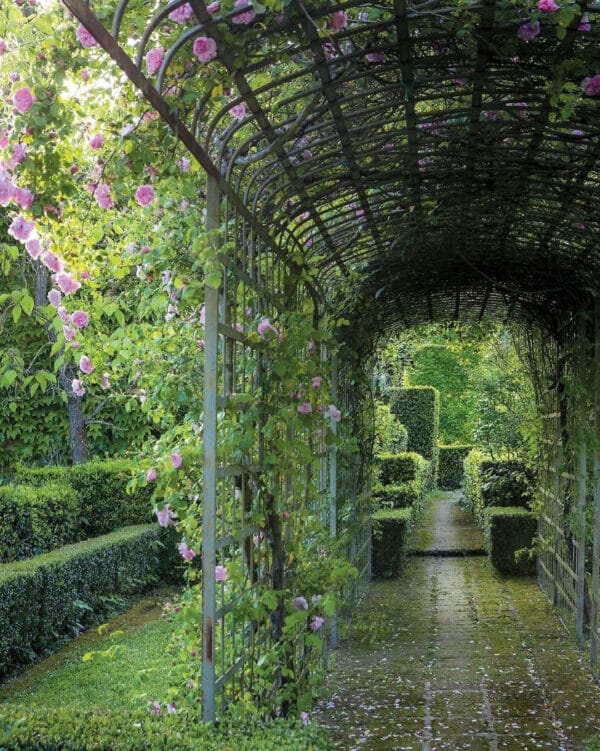 Federico Forquet’s garden. Photo courtesy of @ricardolabougle @tmagazine